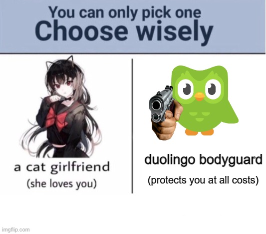 choose carefully. | duolingo bodyguard; (protects you at all costs) | image tagged in choose wisely,duolingo | made w/ Imgflip meme maker