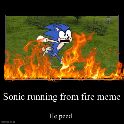 Sonic runes fro. Fire meme | Sonic running from fire meme | He peed | image tagged in funny,demotivationals | made w/ Imgflip demotivational maker