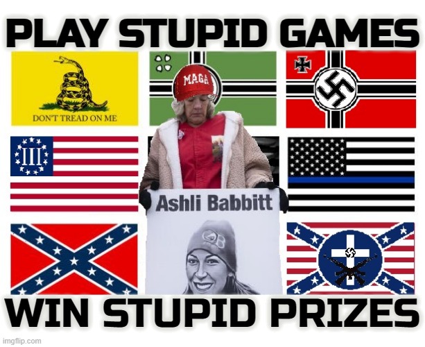 PLAY STUPID GAMES WIN STUPID PRIZES | PLAY STUPID GAMES; WIN STUPID PRIZES | image tagged in play stupid games win stupid prizes,terrorist,domestic terrorist,traitor,nazi,maga | made w/ Imgflip meme maker
