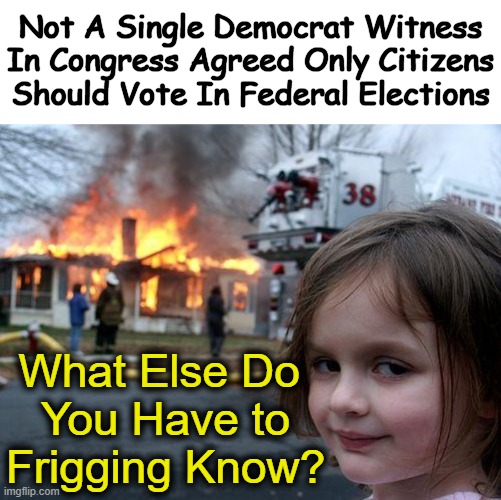 Radicals Within Willing to Destroy Everything AMERICAN | Not A Single Democrat Witness In Congress Agreed Only Citizens Should Vote In Federal Elections; What Else Do 
You Have to
Frigging Know? | image tagged in voting,third world,democrat party,congress,true americans do not think like third world invaders,political humor | made w/ Imgflip meme maker