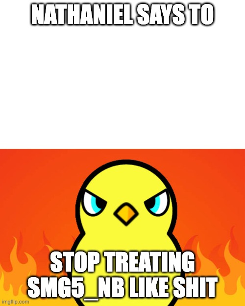 Duck Life Duck Hates | NATHANIEL SAYS TO; STOP TREATING SMG5_NB LIKE SHIT | image tagged in duck life duck hates | made w/ Imgflip meme maker