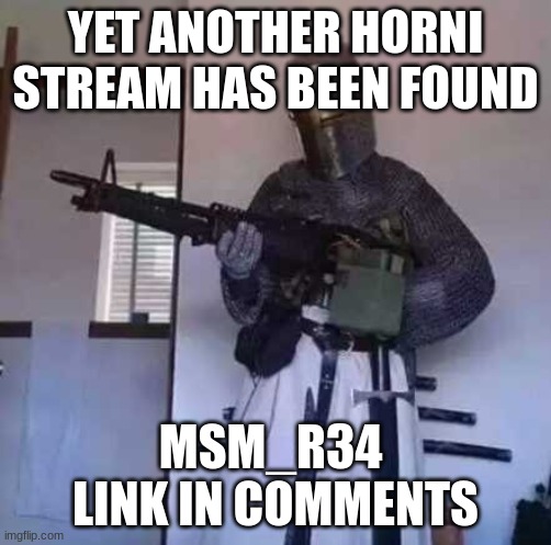 shall we? | YET ANOTHER HORNI STREAM HAS BEEN FOUND; MSM_R34 

LINK IN COMMENTS | image tagged in crusader knight with m60 machine gun,raid,crusader | made w/ Imgflip meme maker