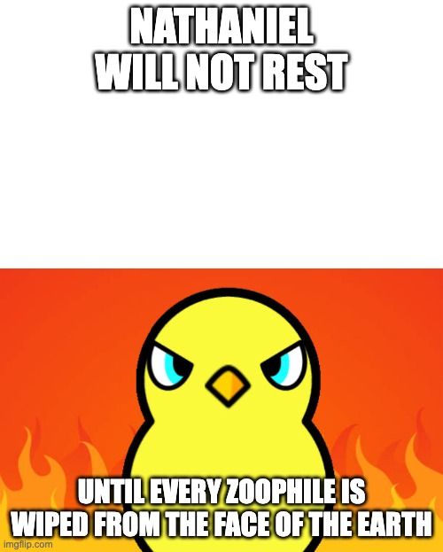 Duck Life Duck Hates | NATHANIEL WILL NOT REST; UNTIL EVERY ZOOPHILE IS WIPED FROM THE FACE OF THE EARTH | image tagged in duck life duck hates | made w/ Imgflip meme maker