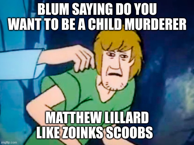 Shaggy meme | BLUM SAYING DO YOU WANT TO BE A CHILD MURDERER; MATTHEW LILLARD LIKE ZOINKS SCOOBS | image tagged in shaggy meme | made w/ Imgflip meme maker