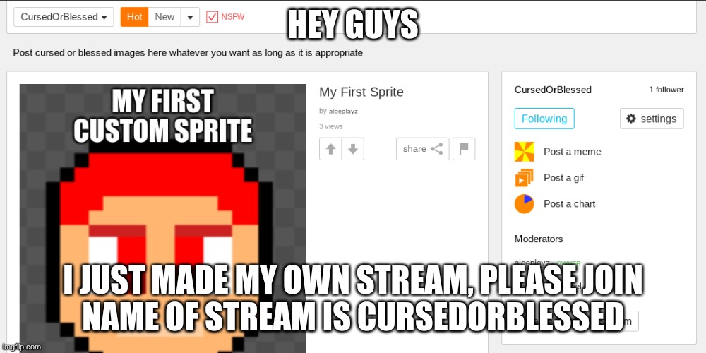 New stream | HEY GUYS; I JUST MADE MY OWN STREAM, PLEASE JOIN
NAME OF STREAM IS CURSEDORBLESSED | image tagged in fun stream | made w/ Imgflip meme maker