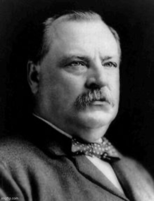 Day 29 of posting U.S. presidents | image tagged in grover cleveland | made w/ Imgflip meme maker