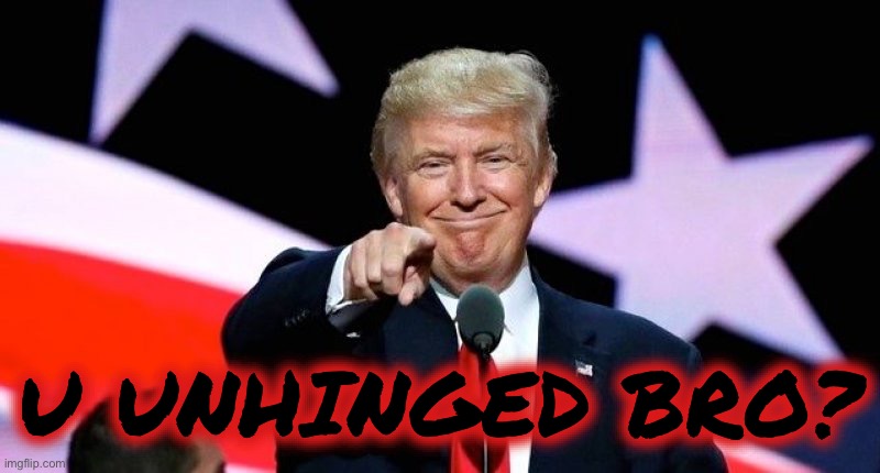 Donald Trump pointing at you. | U UNHINGED BRO? | image tagged in donald trump pointing at you | made w/ Imgflip meme maker