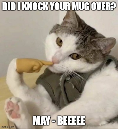 DID I KNOCK YOUR MUG OVER? MAY - BEEEEE | image tagged in cats,funny cats,innocent,it wasn't me,animals,let me think | made w/ Imgflip meme maker