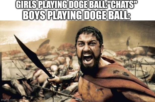 Please don't take this seriously as well | GIRLS PLAYING DOGE BALL:"CHATS"; BOYS PLAYING DOGE BALL: | image tagged in memes,sparta leonidas | made w/ Imgflip meme maker