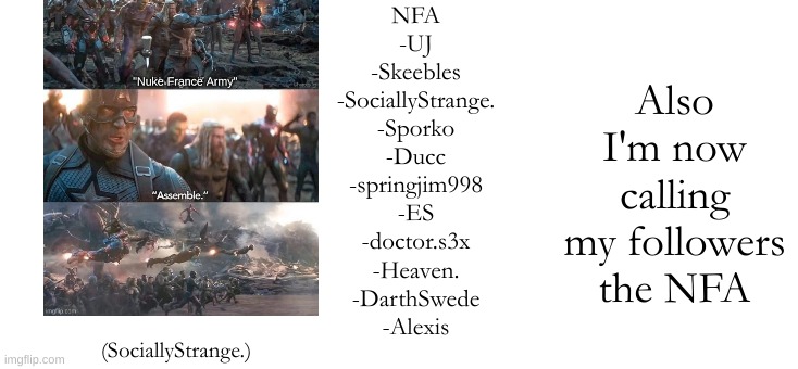 NFA
-UJ
-Skeebles
-SociallyStrange.
-Sporko
-Ducc
-springjim998
-ES
-doctor.s3x
-Heaven.
-DarthSwede
-Alexis; Also I'm now calling my followers the NFA; (SociallyStrange.) | made w/ Imgflip meme maker
