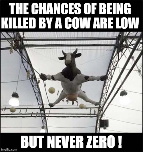 Don't Look Up ! | THE CHANCES OF BEING KILLED BY A COW ARE LOW; BUT NEVER ZERO ! | image tagged in cows,evil cows,falling | made w/ Imgflip meme maker