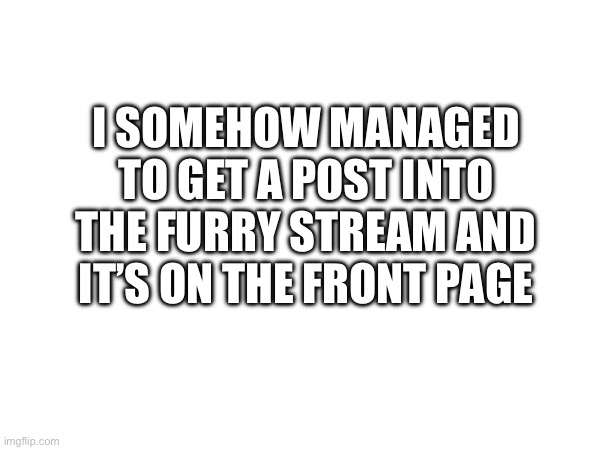 :) | I SOMEHOW MANAGED TO GET A POST INTO THE FURRY STREAM AND IT’S ON THE FRONT PAGE | image tagged in american union | made w/ Imgflip meme maker