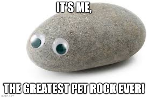idk, I'm introducing myself? I'm just a rock, okay? | IT'S ME, THE GREATEST PET ROCK EVER! | image tagged in help me,am i the only one around here,who killed hannibal | made w/ Imgflip meme maker