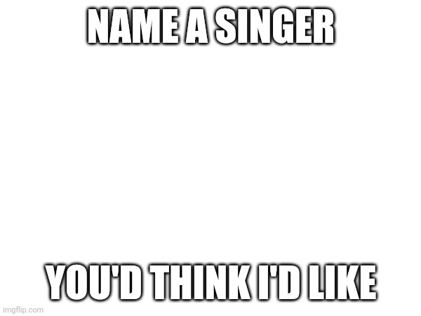 I'll put my fav genres in the comments | NAME A SINGER; YOU'D THINK I'D LIKE | made w/ Imgflip meme maker