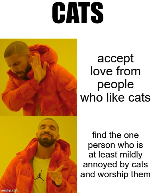 Drake Hotline Bling | CATS; accept love from people who like cats; find the one person who is at least mildly annoyed by cats and worship them | image tagged in memes,drake hotline bling | made w/ Imgflip meme maker
