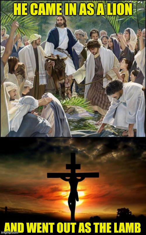 HE CAME IN AS A LION; AND WENT OUT AS THE LAMB | image tagged in palm sunday,jesus on the cross | made w/ Imgflip meme maker