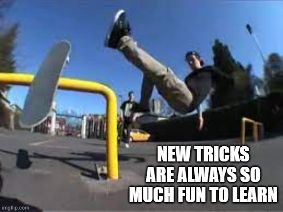 meme by Brad new tricks on a skateboard | NEW TRICKS ARE ALWAYS SO MUCH FUN TO LEARN | image tagged in sports,funny,crashes,skateboarding,humor,funny meme | made w/ Imgflip meme maker
