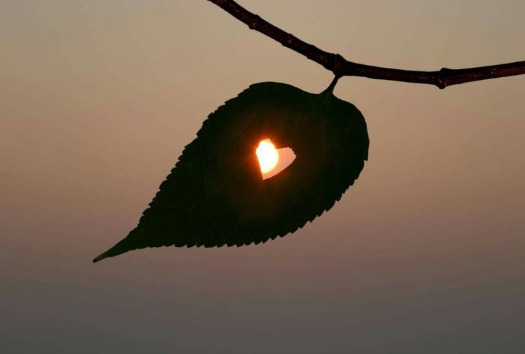 Danielle Gomes Blank Meme Template