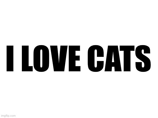 I LOVE CATS | made w/ Imgflip meme maker