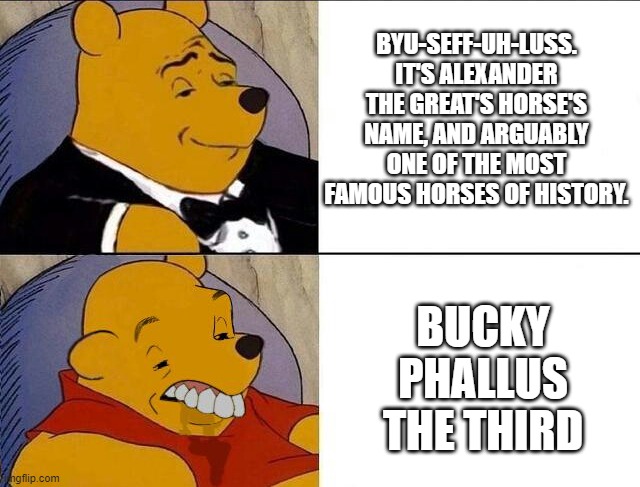 Winnie the Pooh Meme | BYU-SEFF-UH-LUSS. IT'S ALEXANDER THE GREAT'S HORSE'S NAME, AND ARGUABLY ONE OF THE MOST FAMOUS HORSES OF HISTORY. BUCKY PHALLUS THE THIRD | image tagged in winnie the pooh meme | made w/ Imgflip meme maker