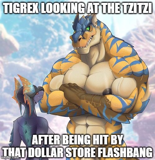 TIGREX LOOKING AT THE TZITZI; AFTER BEING HIT BY THAT DOLLAR STORE FLASHBANG | image tagged in memes | made w/ Imgflip meme maker
