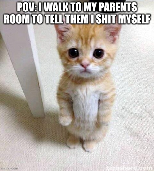 Cute Cat Meme | POV: I WALK TO MY PARENTS ROOM TO TELL THEM I SHIT MYSELF | image tagged in memes,cute cat | made w/ Imgflip meme maker