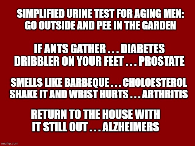 Dark Red Solid | SIMPLIFIED URINE TEST FOR AGING MEN:
GO OUTSIDE AND PEE IN THE GARDEN; IF ANTS GATHER . . . DIABETES
DRIBBLER ON YOUR FEET . . . PROSTATE; SMELLS LIKE BARBEQUE . . . CHOLOESTEROL
SHAKE IT AND WRIST HURTS . . . ARTHRITIS; RETURN TO THE HOUSE WITH IT STILL OUT . . . ALZHEIMERS | image tagged in dark red solid | made w/ Imgflip meme maker