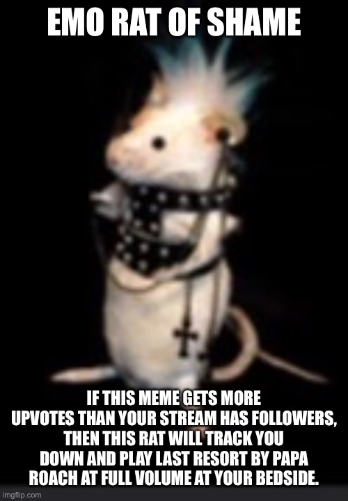 Emo rat of shame | EMO RAT OF SHAME; IF THIS MEME GETS MORE UPVOTES THAN YOUR STREAM HAS FOLLOWERS, THEN THIS RAT WILL TRACK YOU DOWN AND PLAY LAST RESORT BY PAPA ROACH AT FULL VOLUME AT YOUR BEDSIDE. | image tagged in emo rat | made w/ Imgflip meme maker