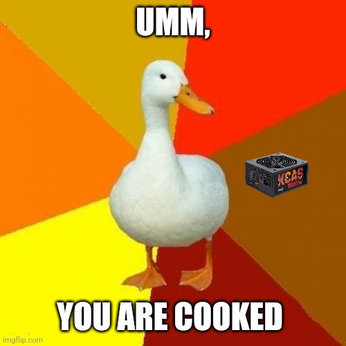 madeby:ARETHESETHEWORLDMOSTCRISPIESTFRIES | UMM, YOU ARE COOKED | image tagged in memes,tech impaired duck | made w/ Imgflip meme maker