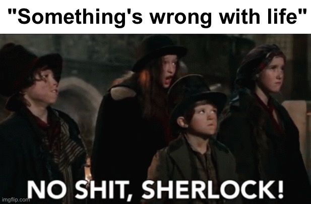 No shit sherlock | "Something's wrong with life" | image tagged in no shit sherlock | made w/ Imgflip meme maker