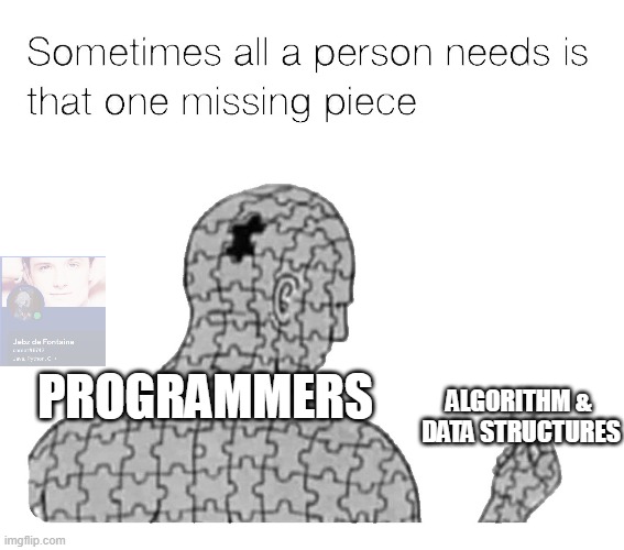 Programmers | ALGORITHM & 
DATA STRUCTURES; PROGRAMMERS | image tagged in that one missing piece | made w/ Imgflip meme maker