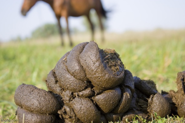 Pile O' horse shit | image tagged in pile o' horse shit | made w/ Imgflip meme maker