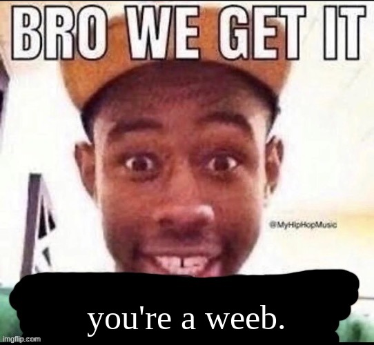 Bro we get it (blank) | you're a weeb. | image tagged in bro we get it blank | made w/ Imgflip meme maker