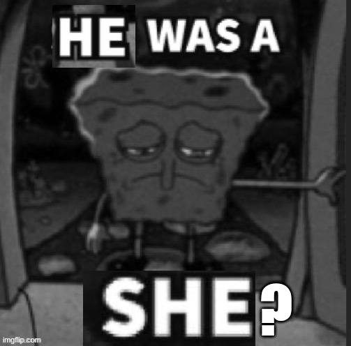 He was a She | ? | image tagged in he was a she | made w/ Imgflip meme maker