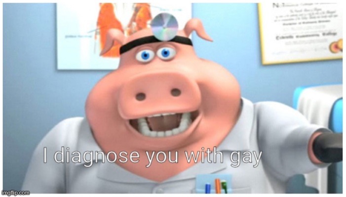 I diagnose you with gay | image tagged in i diagnose you with gay | made w/ Imgflip meme maker