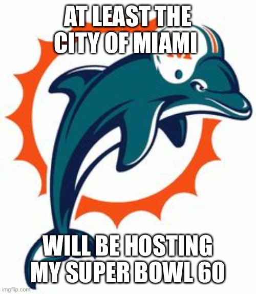 Miami Dolphin | AT LEAST THE CITY OF MIAMI; WILL BE HOSTING MY SUPER BOWL 60 | image tagged in miami dolphin | made w/ Imgflip meme maker
