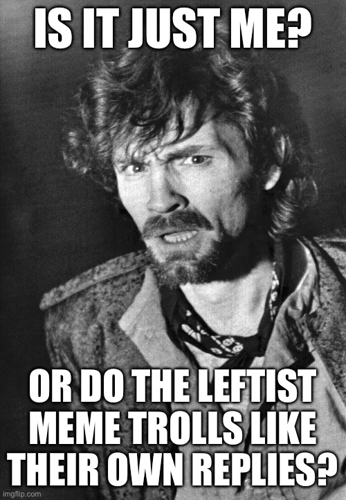 Is it just me??? | IS IT JUST ME? OR DO THE LEFTIST MEME TROLLS LIKE THEIR OWN REPLIES? | image tagged in is it just me | made w/ Imgflip meme maker
