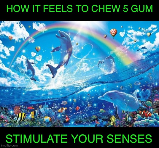 How it feels to chew 5 gum | HOW IT FEELS TO CHEW 5 GUM; STIMULATE YOUR SENSES | image tagged in happy dolphin rainbow,5 gum,parody,gum,how it feels to chew 5 gum,stimulate your senses | made w/ Imgflip meme maker