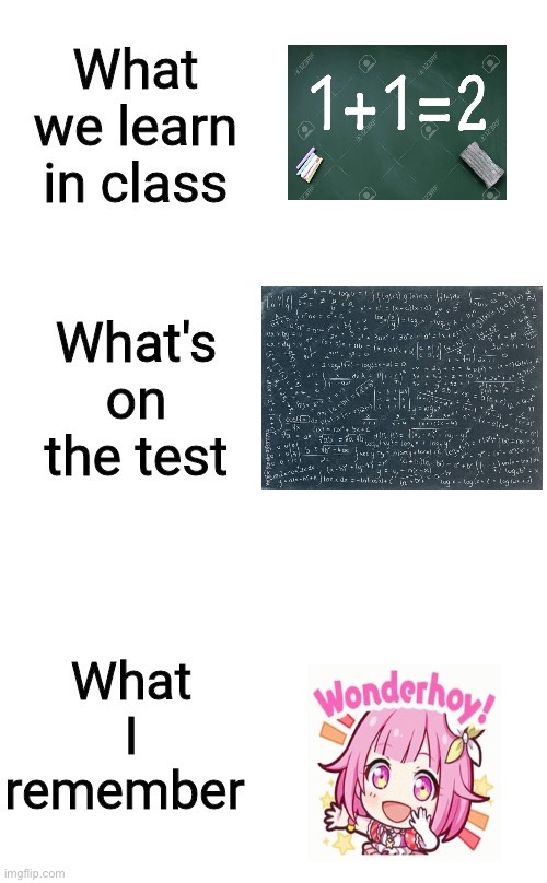 Wonderhoy! | image tagged in what we learn in class | made w/ Imgflip meme maker