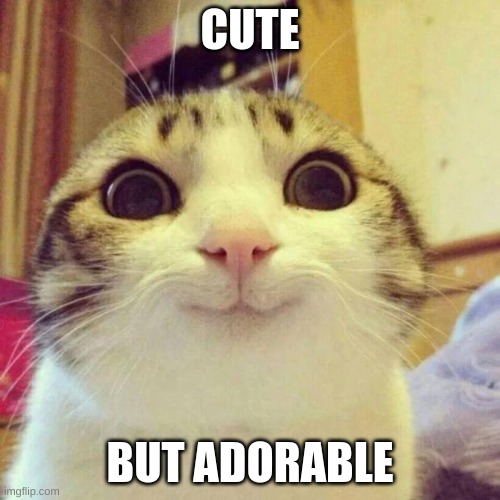 cute kitty cat | CUTE; BUT ADORABLE | image tagged in memes,smiling cat | made w/ Imgflip meme maker