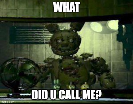 FNAF Springtrap in window | WHAT DID U CALL ME? | image tagged in fnaf springtrap in window | made w/ Imgflip meme maker