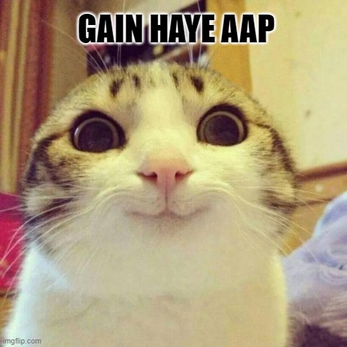 Smiling Cat | GAIN HAYE AAP | image tagged in memes,smiling cat | made w/ Imgflip meme maker