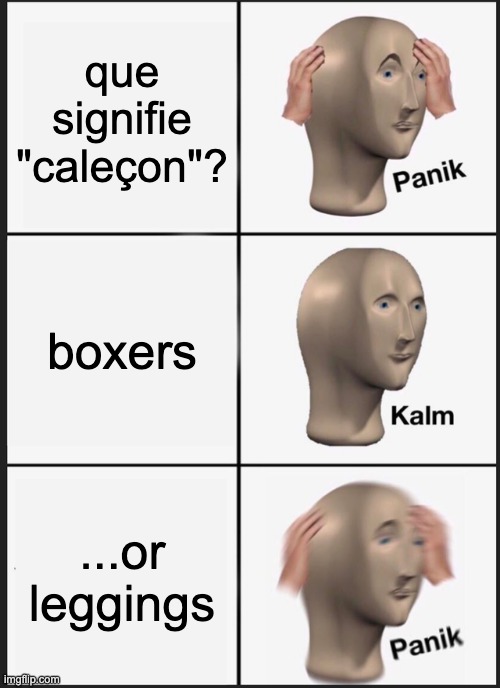 Caleçon | que signifie "caleçon"? boxers; ...or leggings | image tagged in memes,panik kalm panik | made w/ Imgflip meme maker