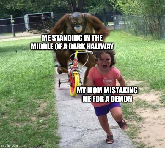 I've scared her into peeing herself :) | ME STANDING IN THE MIDDLE OF A DARK HALLWAY; MY MOM MISTAKING ME FOR A DEMON | image tagged in run,memes,relatable | made w/ Imgflip meme maker