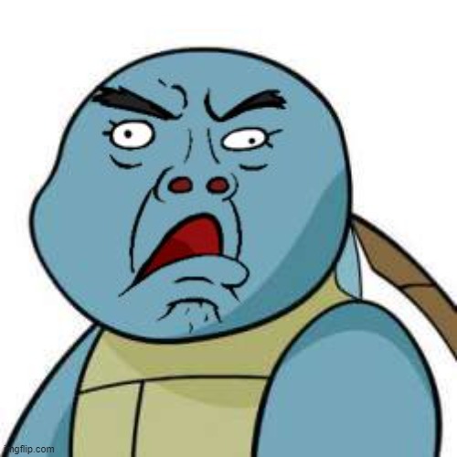 Horrified Squirtle | image tagged in horrified squirtle | made w/ Imgflip meme maker