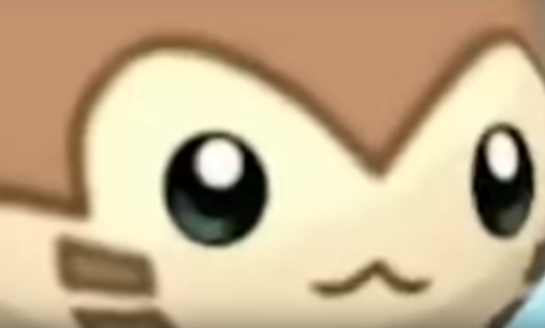 Furret close up Blank Meme Template