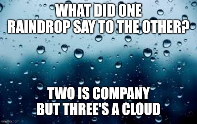 raindrops | WHAT DID ONE RAINDROP SAY TO THE OTHER? TWO IS COMPANY
BUT THREE'S A CLOUD | image tagged in raindrops | made w/ Imgflip meme maker