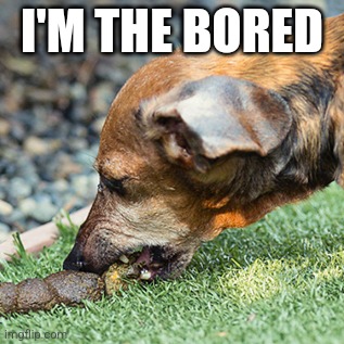 how are you doyn | I'M THE BORED | image tagged in eat shit | made w/ Imgflip meme maker