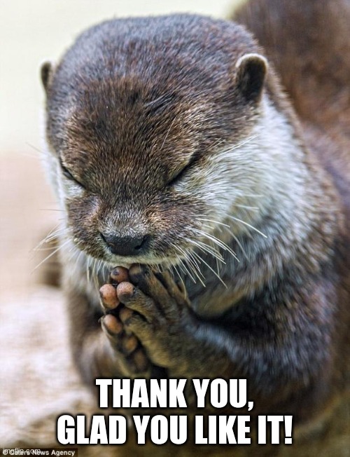 Thank you Lord Otter | THANK YOU, GLAD YOU LIKE IT! | image tagged in thank you lord otter | made w/ Imgflip meme maker