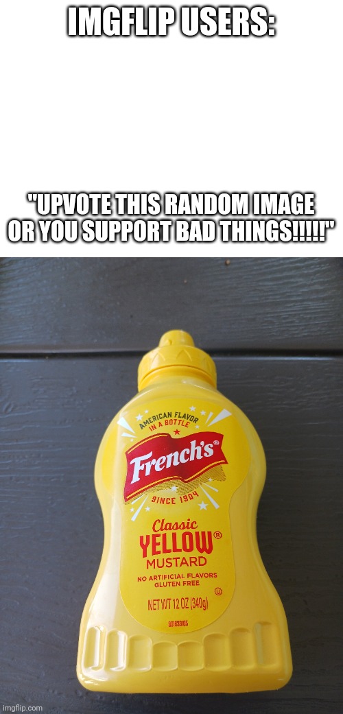 I hate these types of posts. | IMGFLIP USERS:; "UPVOTE THIS RANDOM IMAGE OR YOU SUPPORT BAD THINGS!!!!!" | image tagged in memes,unfunny,upvote begging,not fun | made w/ Imgflip meme maker